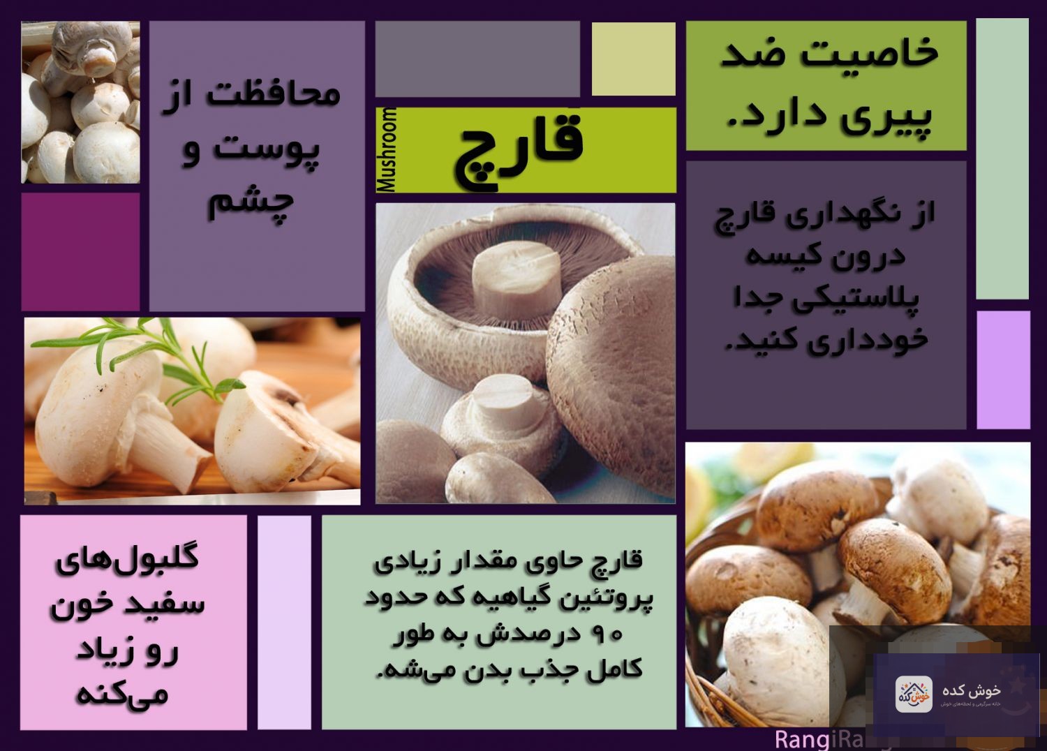خواص قارچ