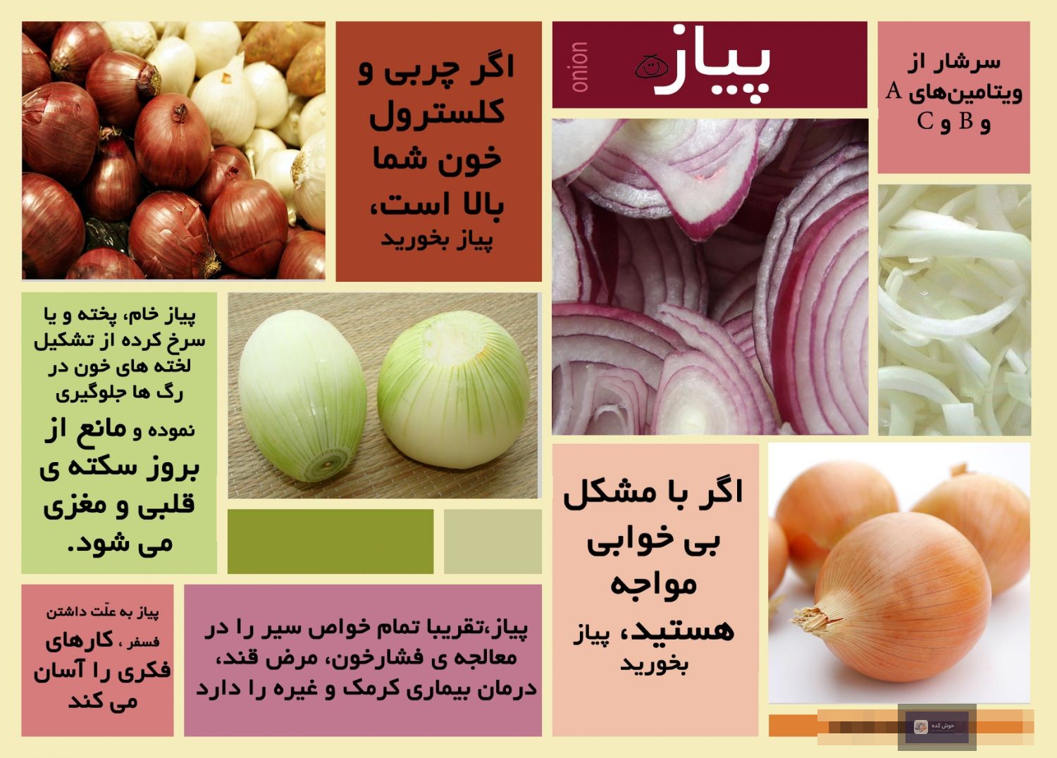 خواص و فواید پیاز پیازهای بنفش و سفید تازه و برش خورده در کنار هم، نشاندهنده خواص و فواید پیاز