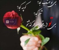 متن ادبی عاشقانه کوتاه و زیبا برای همسر و عشقم، با طراحی هنری