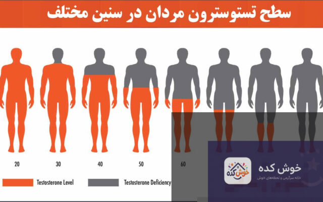نمودار سطح تستوسترون مردان بر اساس سن، نشان دهنده کاهش طبیعی با افزایش سن و اهمیت راهکارهای افزایش آن.