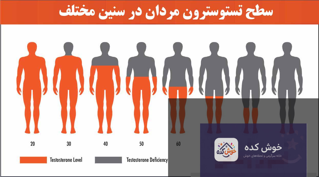 سطح تستوسترون مردان در سنین مختلف نمودار سطح تستوسترون مردان بر اساس سن، نشان دهنده کاهش طبیعی با افزایش سن و اهمیت راهکارهای افزایش آن.