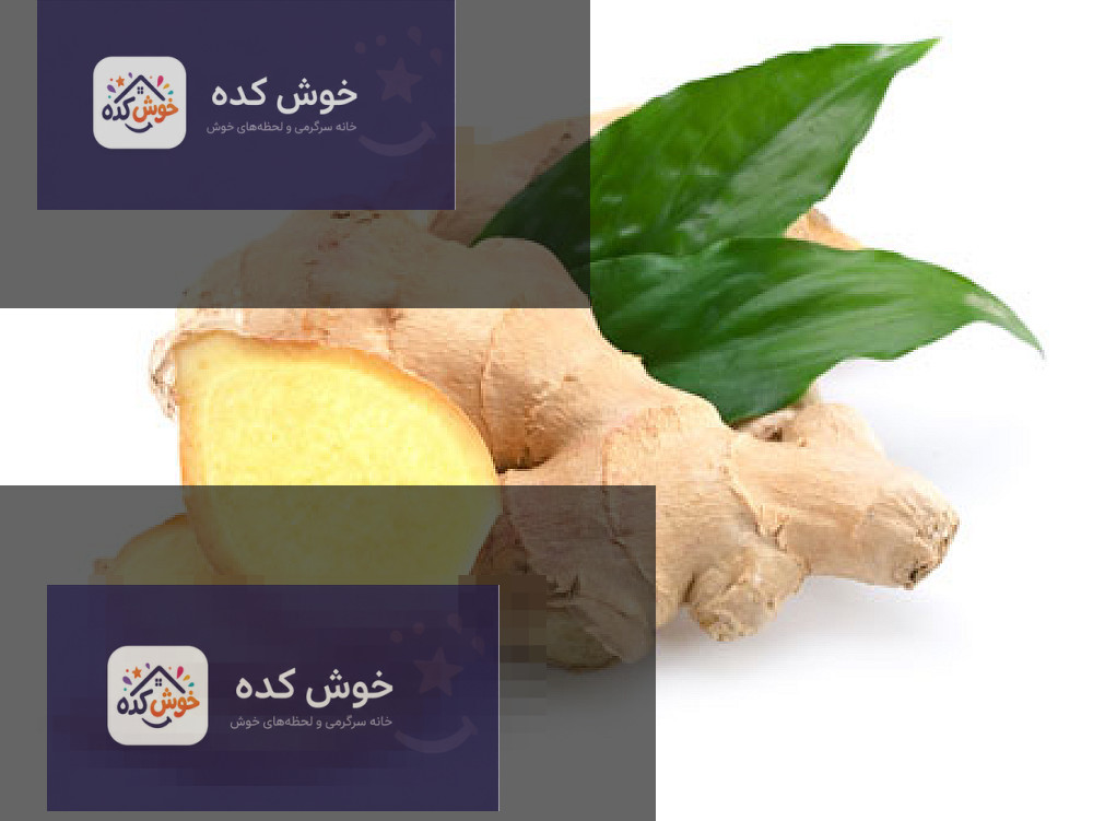 ریشه زنجبیل تازه و برش خورده در کنار پودر زنجبیل، نمادی از خواص درمانی زنجبیل