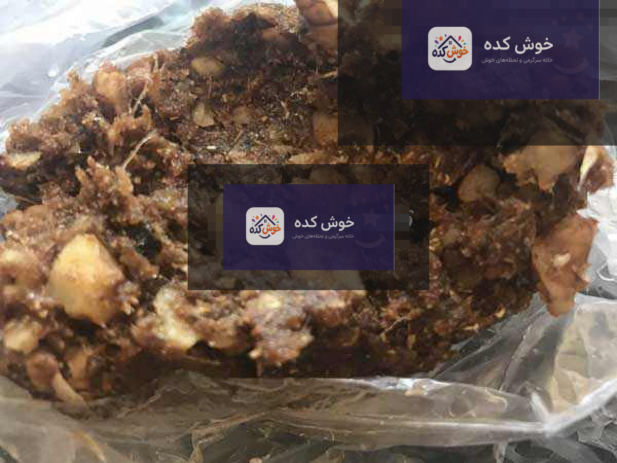 کلوچه خرمائی
