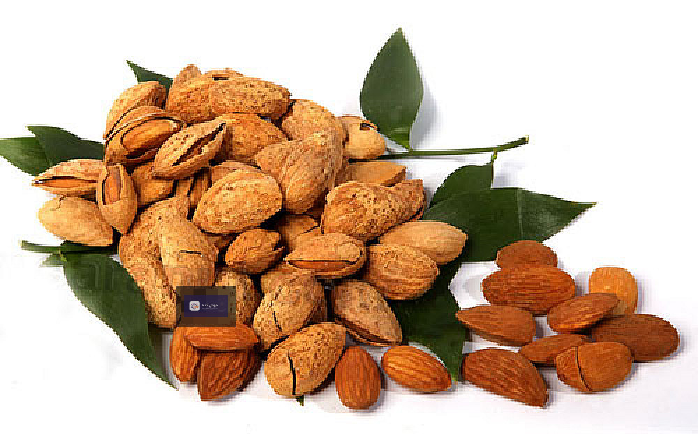 شش ماده غذایی شامل آووکادو، ماهی سالمون، آجیل، روغن زیتون، سبزیجات برگ سبز و توت‌ها برای سلامت قلب