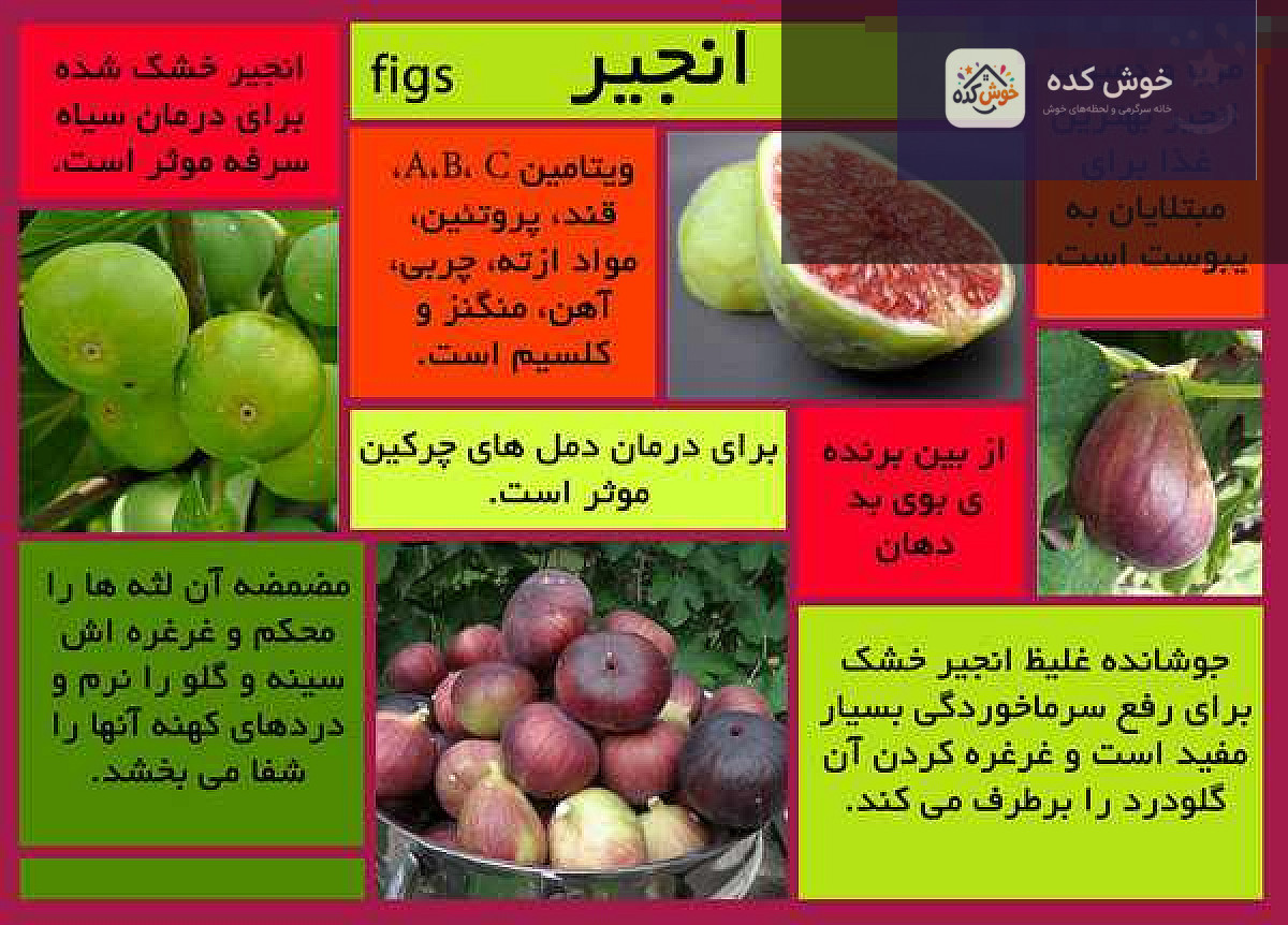 تصویر نزدیک از انجیرهای تازه و برش خورده با دانه‌های قرمز و شیرین، نشان‌دهنده خواص و فواید انجیر