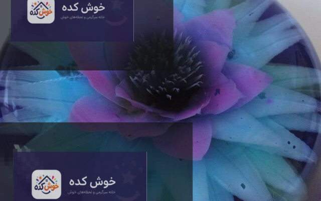 ژله تزریقی با طرح گل‌های ظریف و رنگارنگ، مناسب برای مهمانی‌ها و مجالس