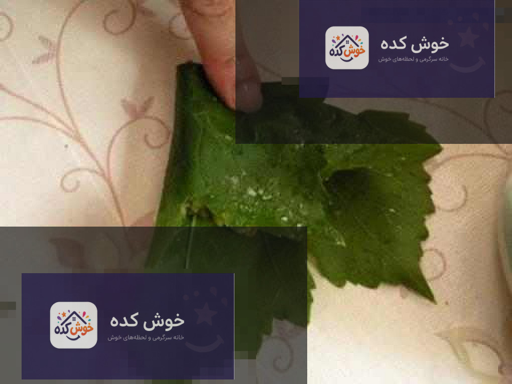 روش پیچیدن دلمه برگ مو بقچه ای
