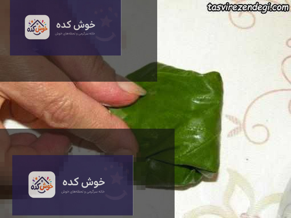 روش پیچیدن دلمه برگ مو بقچه ای