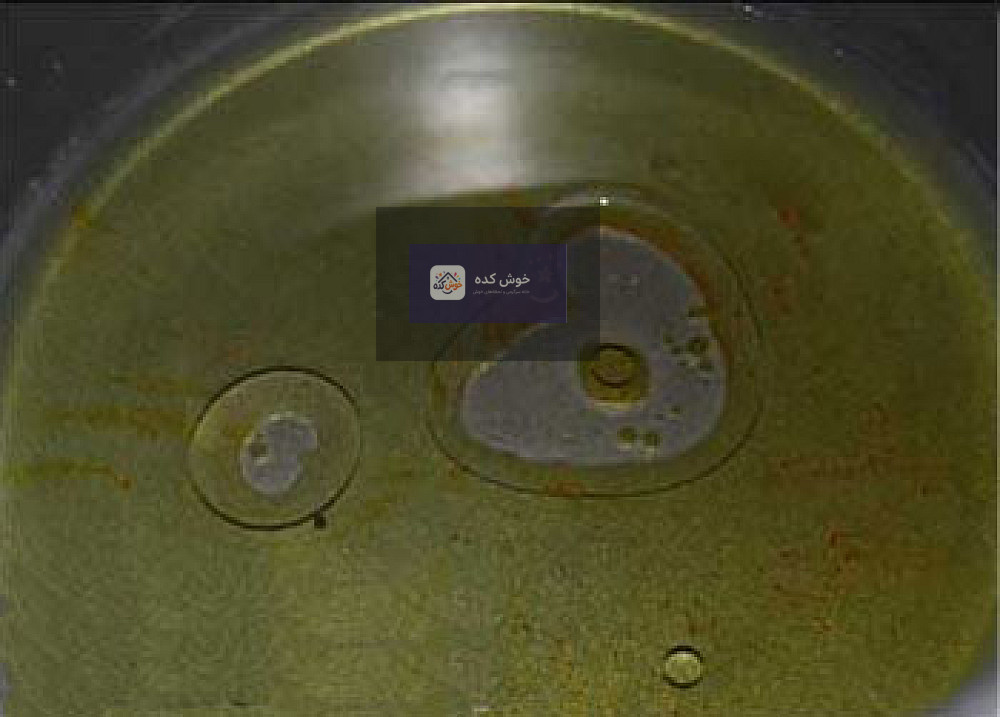 مراحل آماده سازی خمیر بامیه در قیف مخصوص شیرینی پزی