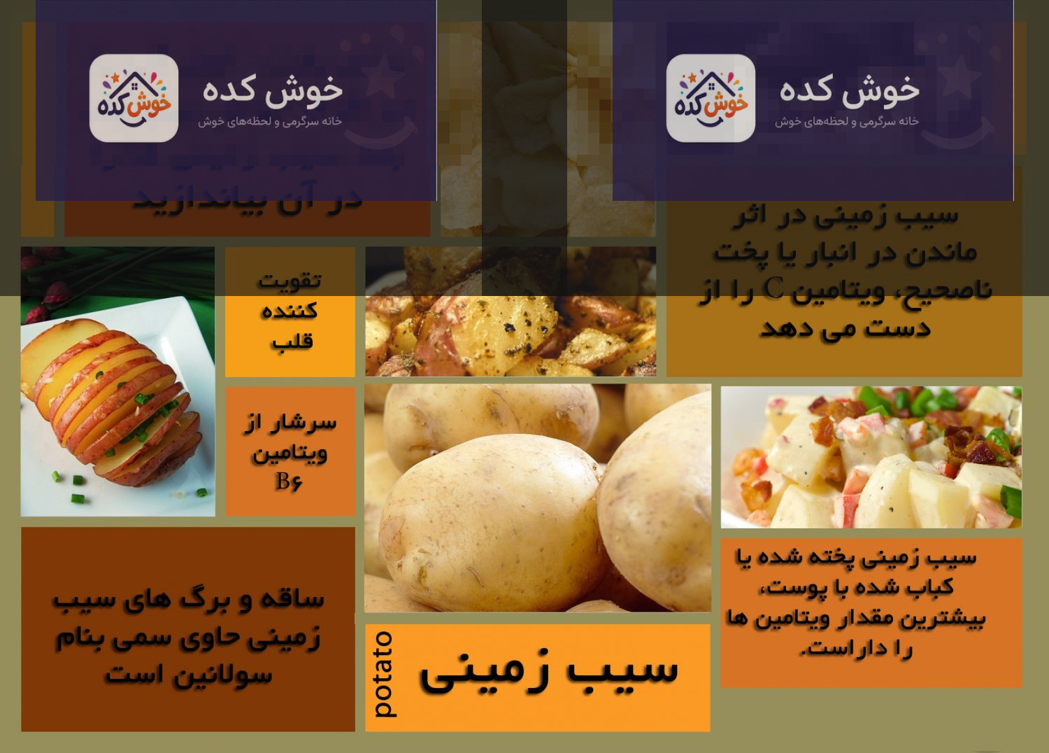 خواص سیب زمینی سیب زمینی دوشس - سیب زمینی بامیه ای - خواص سیب زمینی